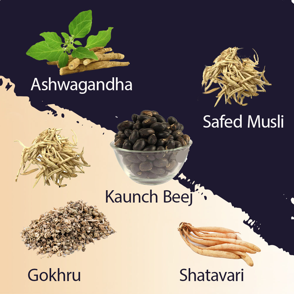 Shilajit Gold with Gokhru, Ashwagandha, Safed Musali, and Shatavari -Capsules | Supports Vitality and Wellness