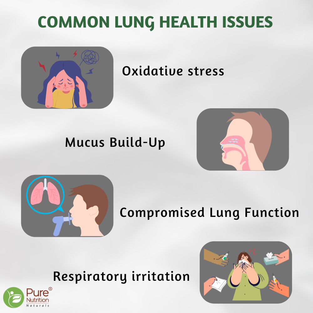 Infographic highlighting common lung health concerns including oxidative stress, mucus build-up, respiratory irritation, and compromised lung function.

