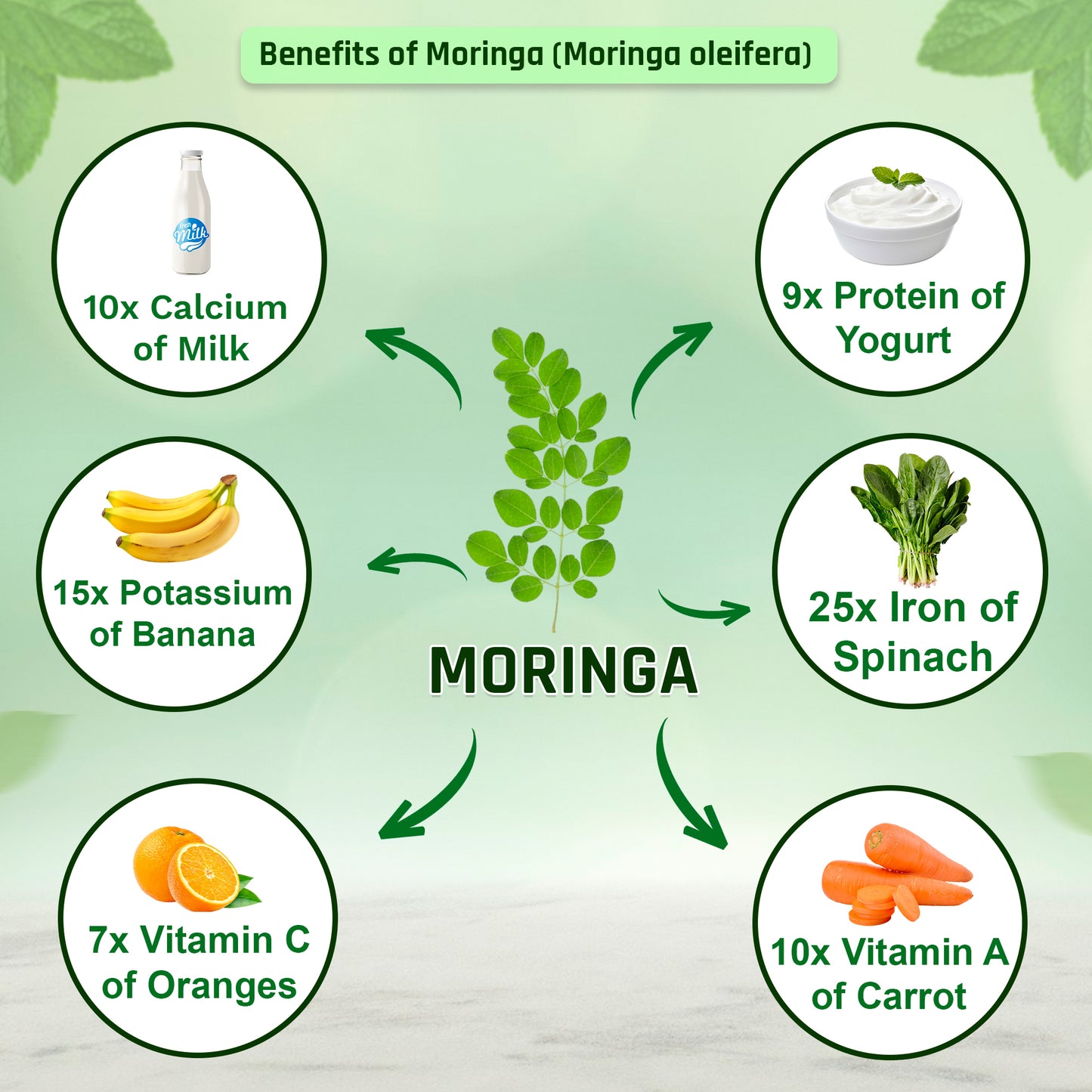 Organic Moringa Powder - 227g