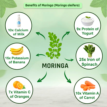 Organic Moringa Powder - 227g