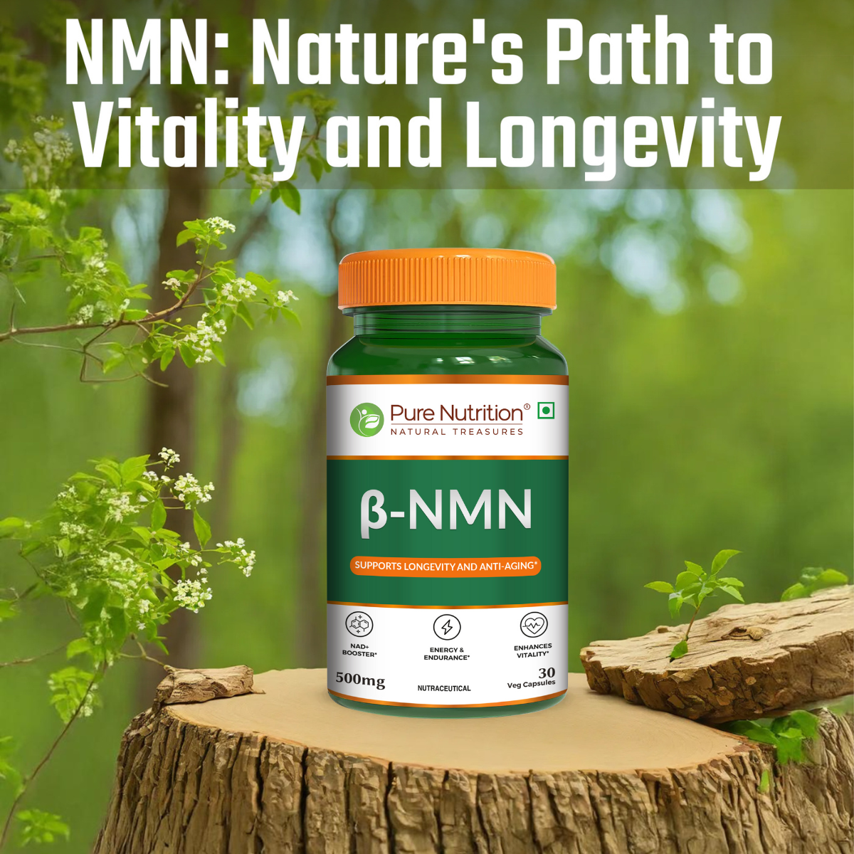 Pure Nutrition β-NMN 500mg – Supports Cellular Energy & Vitality | Veg Capsules