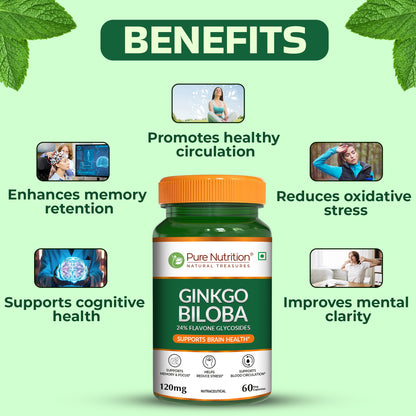 Pure Nutrition Ginkgo Biloba 120mg
