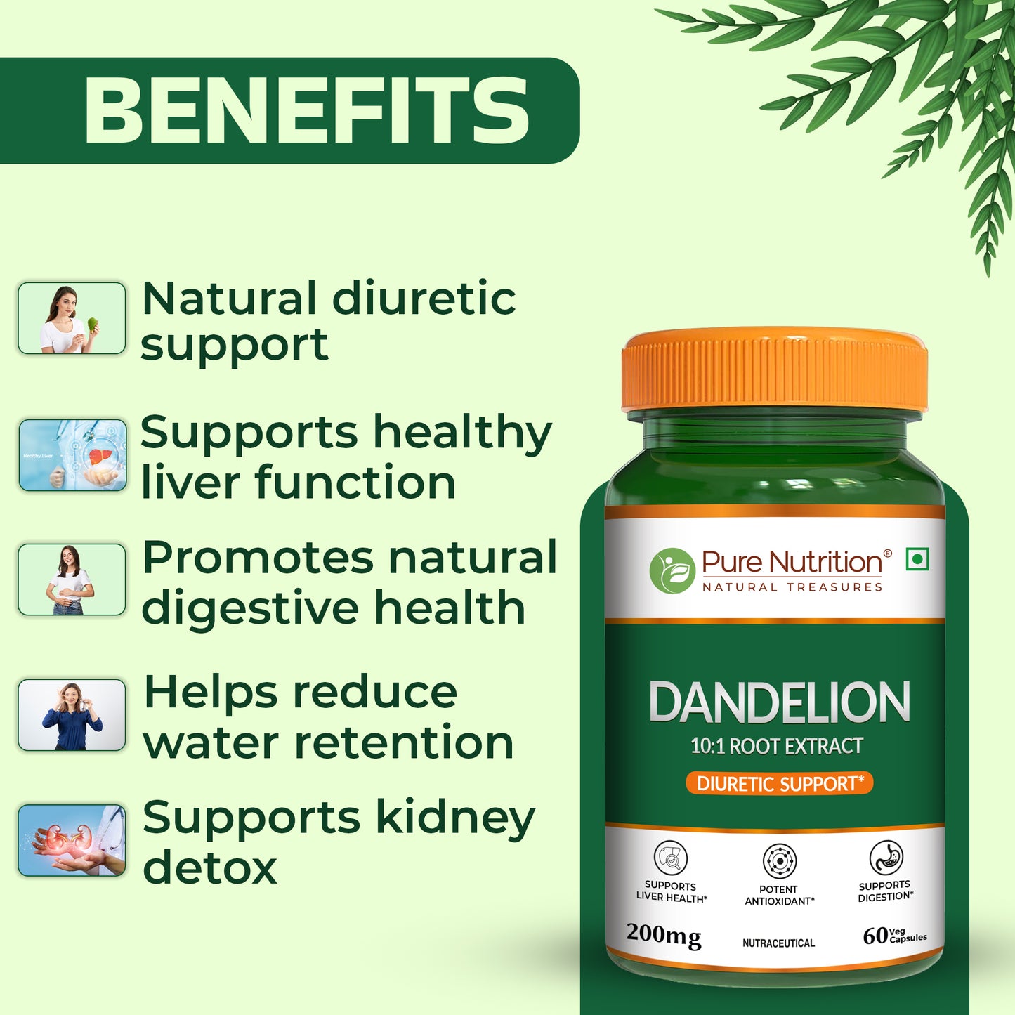 Pure Nutrition Dandelion Root Extract 200mg