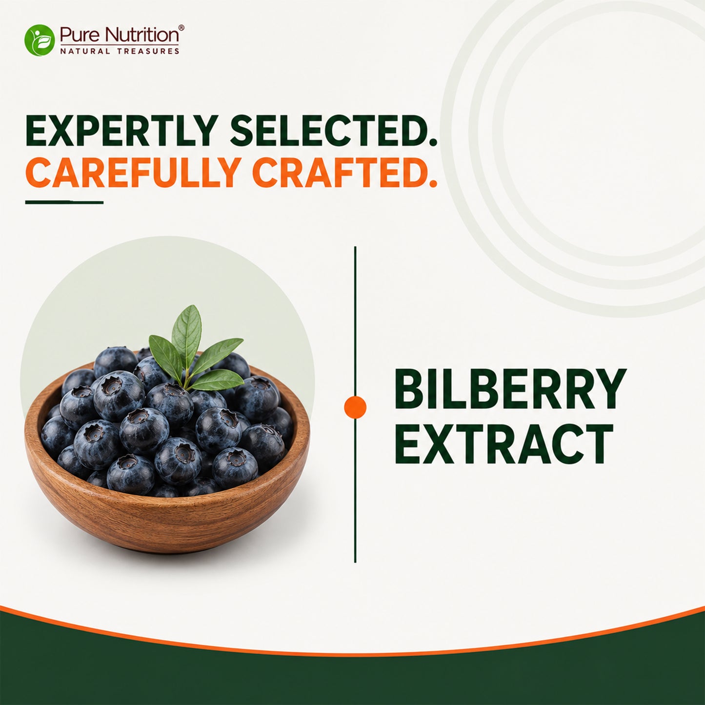 Bilberry Extract 400 mg | Antioxidant & Daily Wellness Support | 60 Capsules