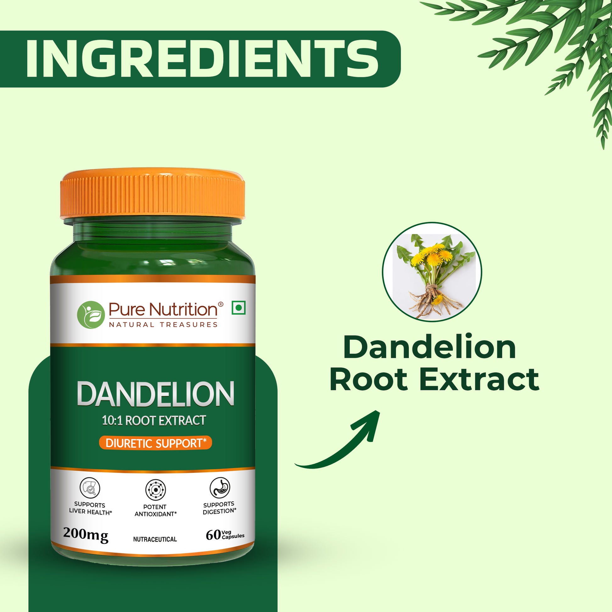 Pure Nutrition Dandelion Root Extract 200mg