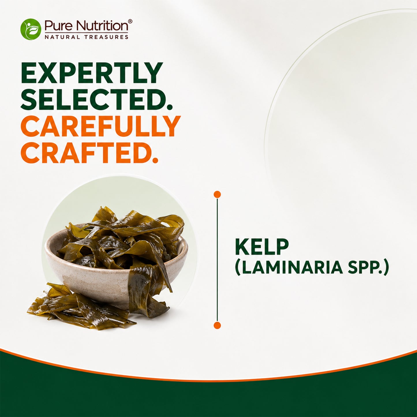Kelp Extract 600mg | 60 Veg Capsules | Laminaria spp. Whole Plant Extract