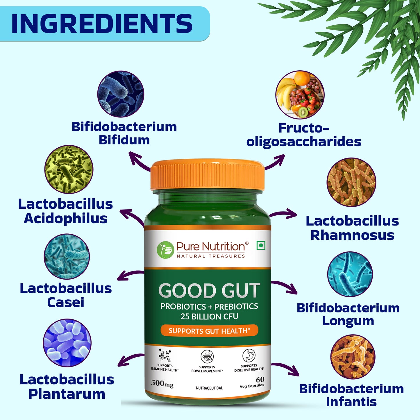 Pure Nutrition Good Gut – 60 Veg Capsules