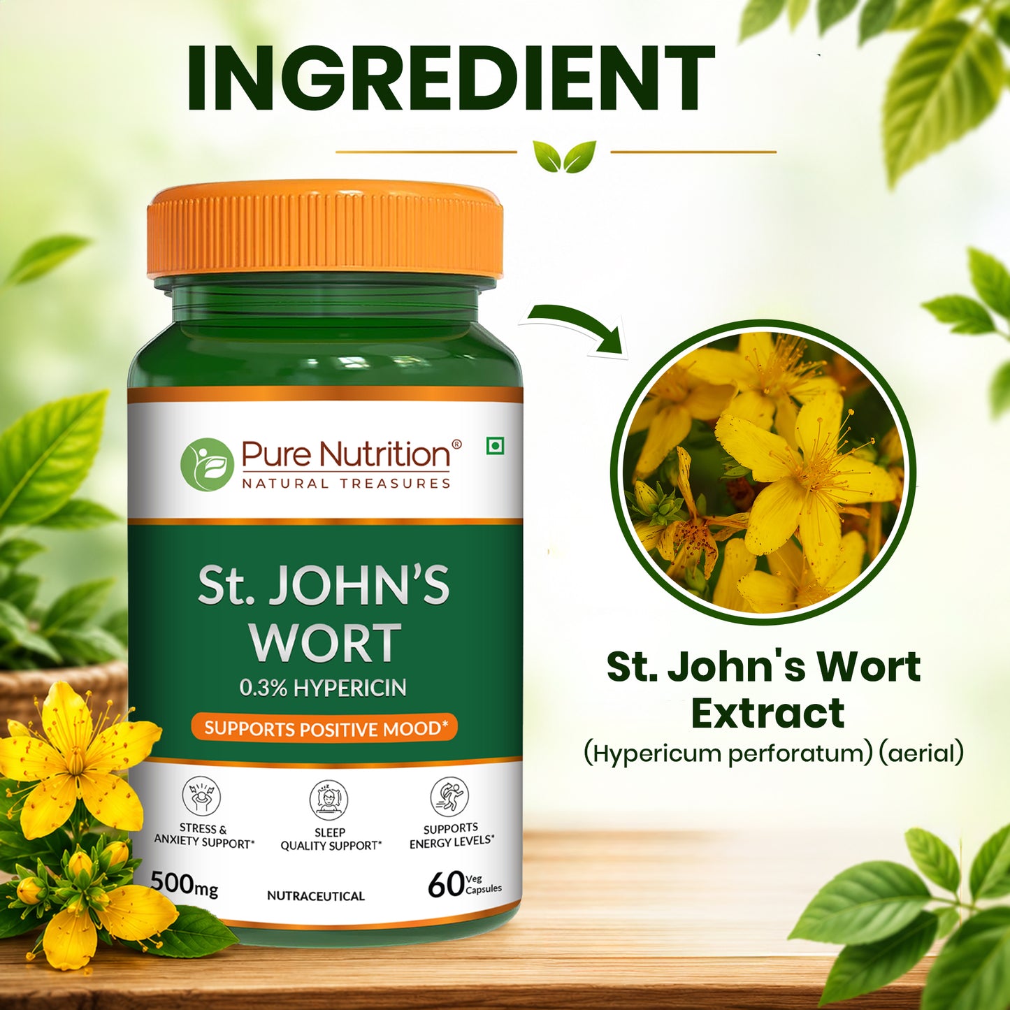 St. John’s Wort 500mg Capsules | Standardized to 0.3% Hypericin | Herbal Wellness Supplement