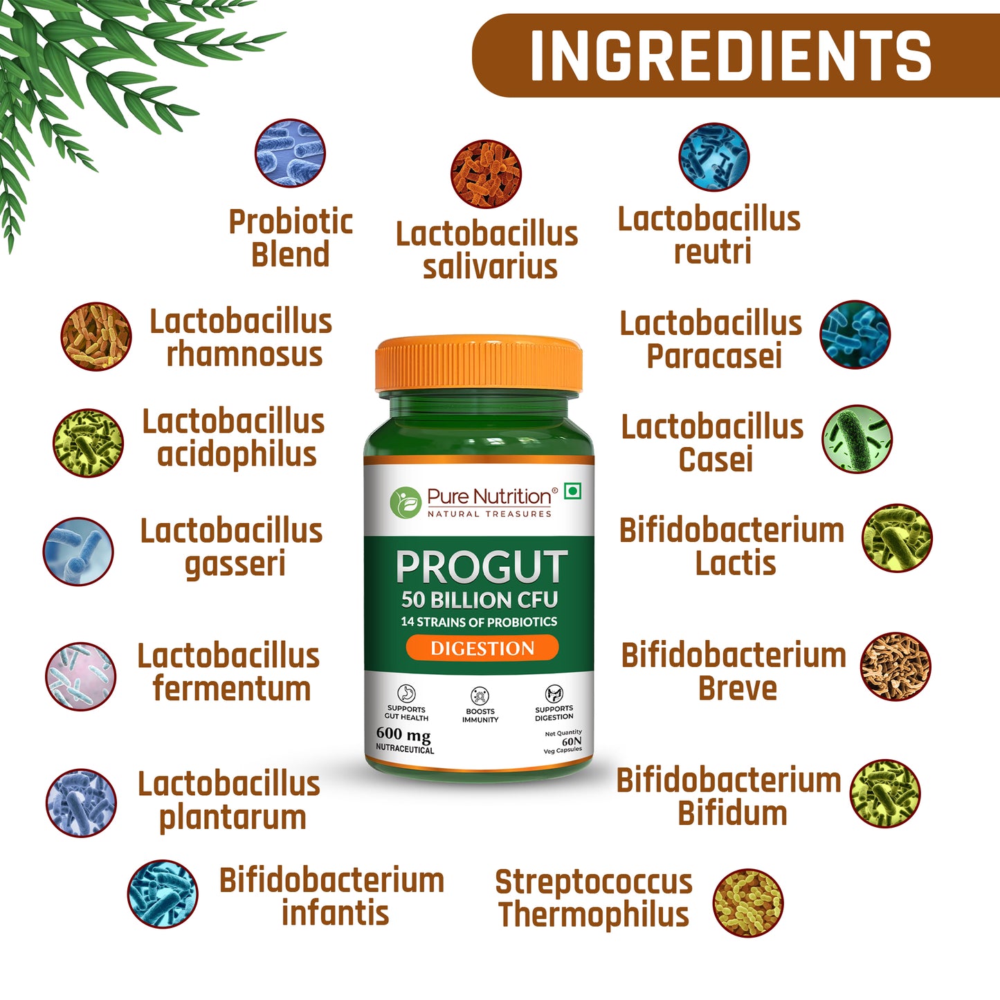 Probiotic – 50 Billion CFU | 14 Strains | 60 Veg Capsules