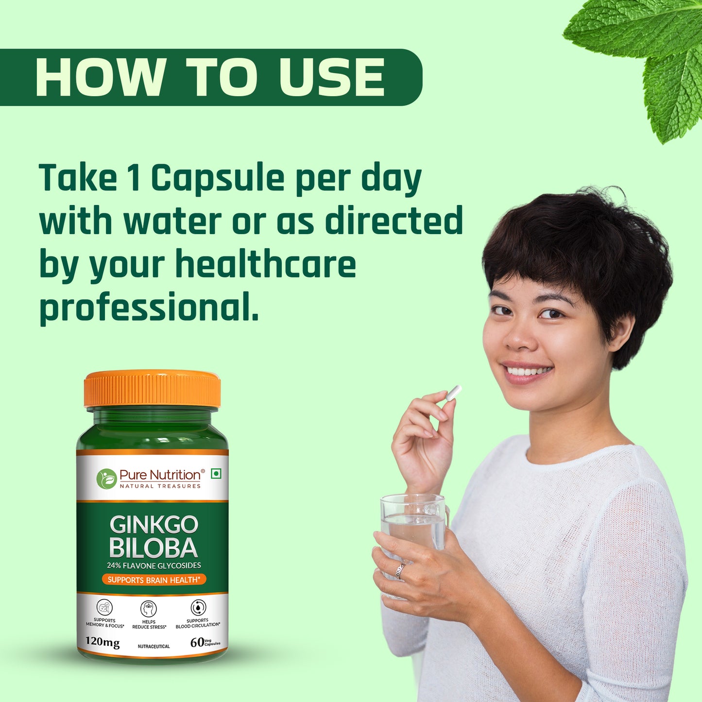 Pure Nutrition Ginkgo Biloba 120mg