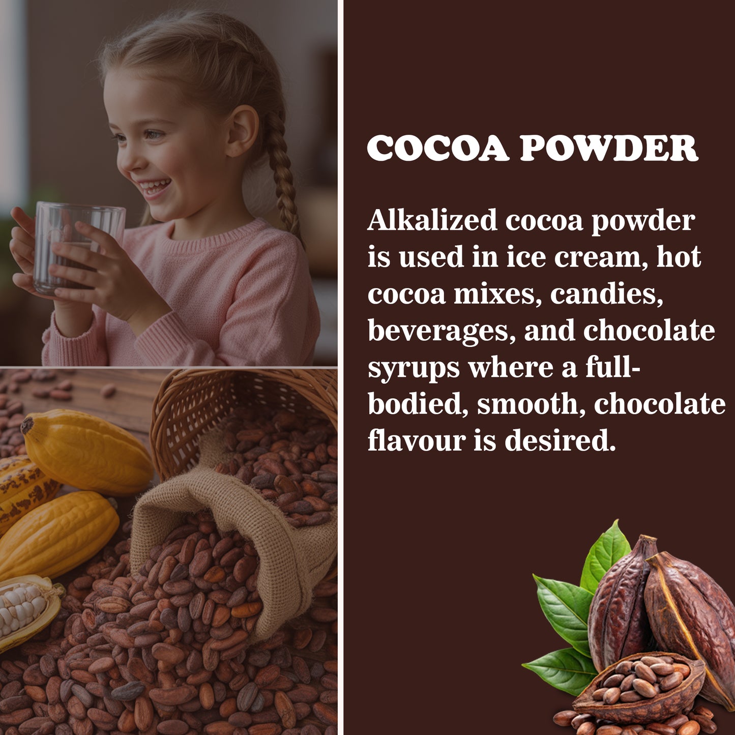 Cocoa Powder 100g | Unsweetened & Alkalized | No Added Sugar | Rich Cocoa Flavor