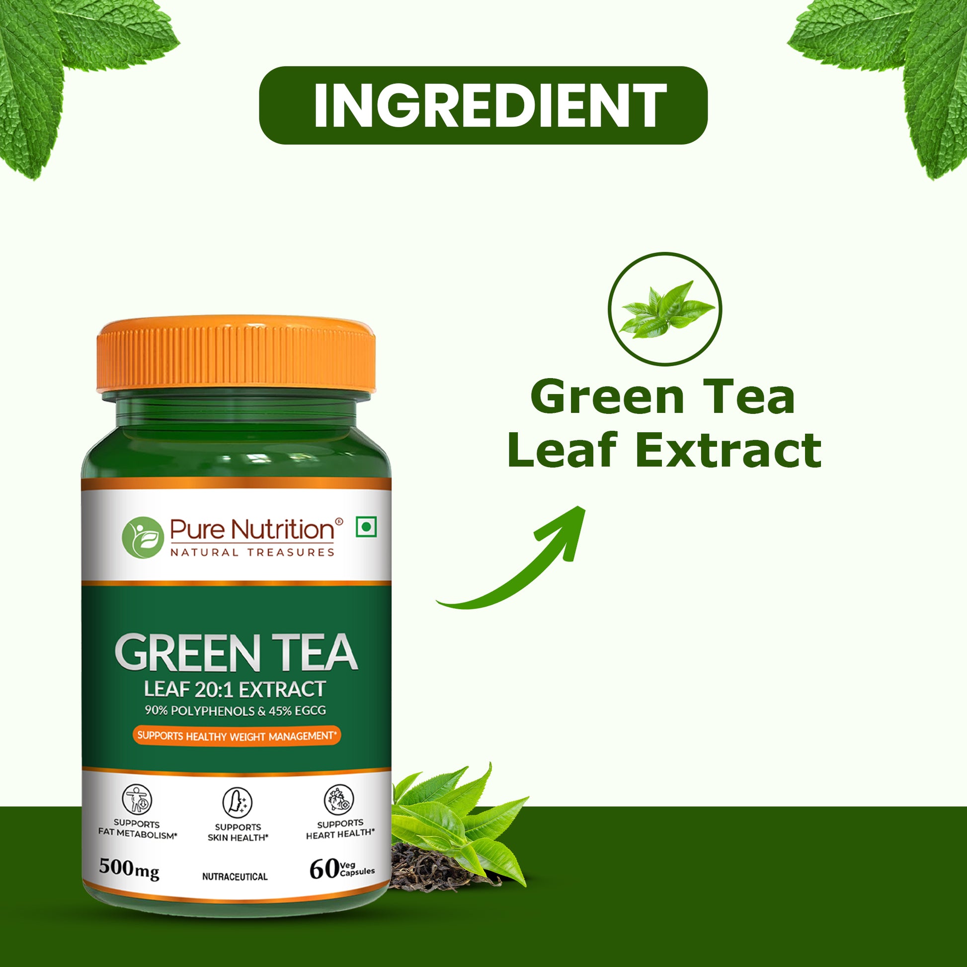 Green tea extract supplement 