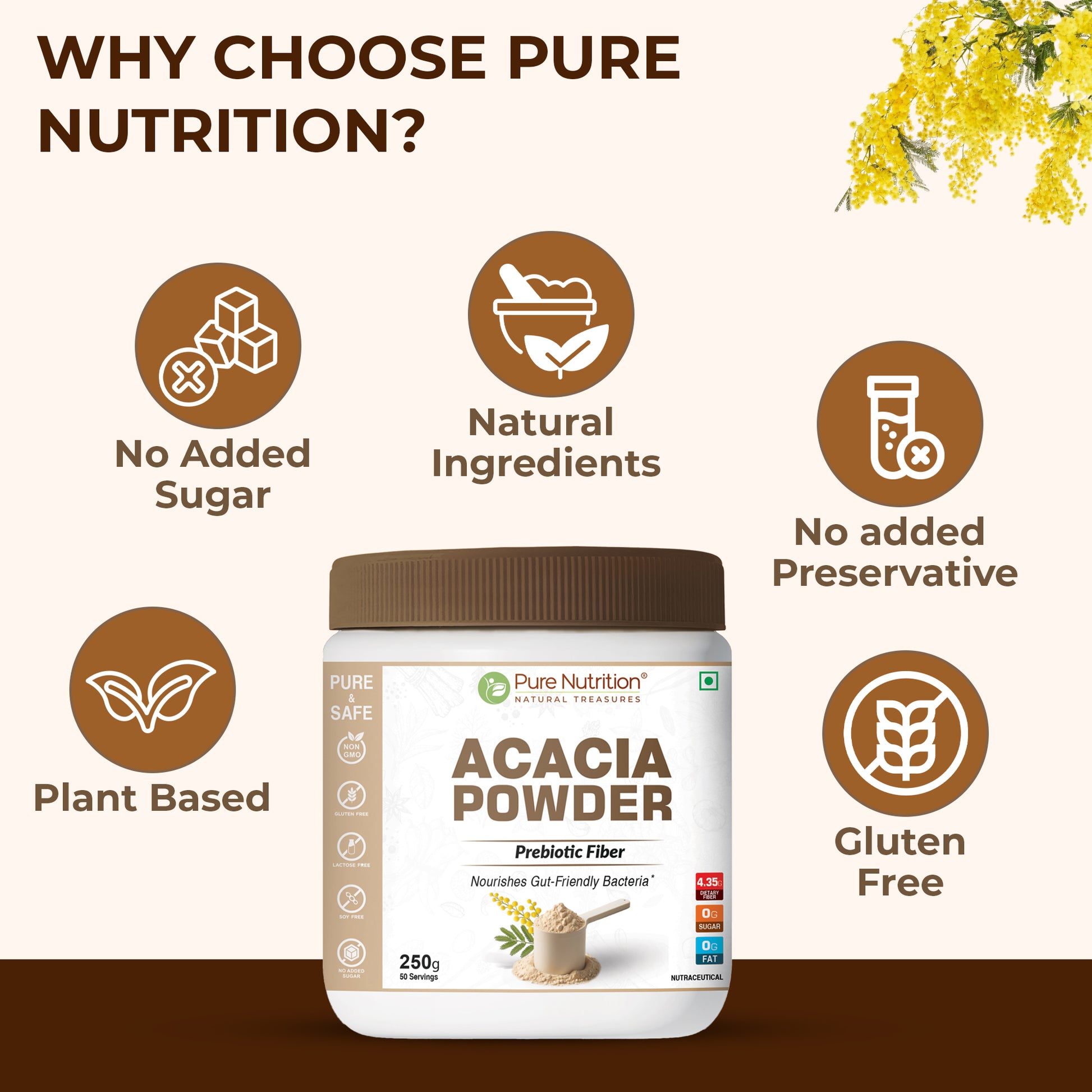 Acacia Powder | Prebiotic Fiber | Plant-Based Supplement