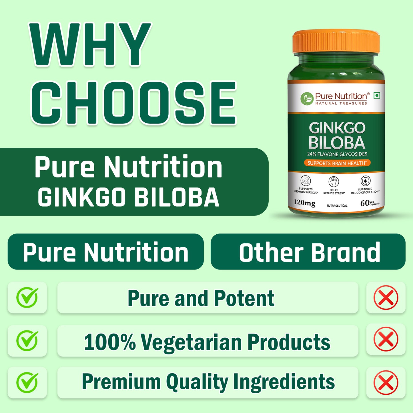 Pure Nutrition Ginkgo Biloba 120mg