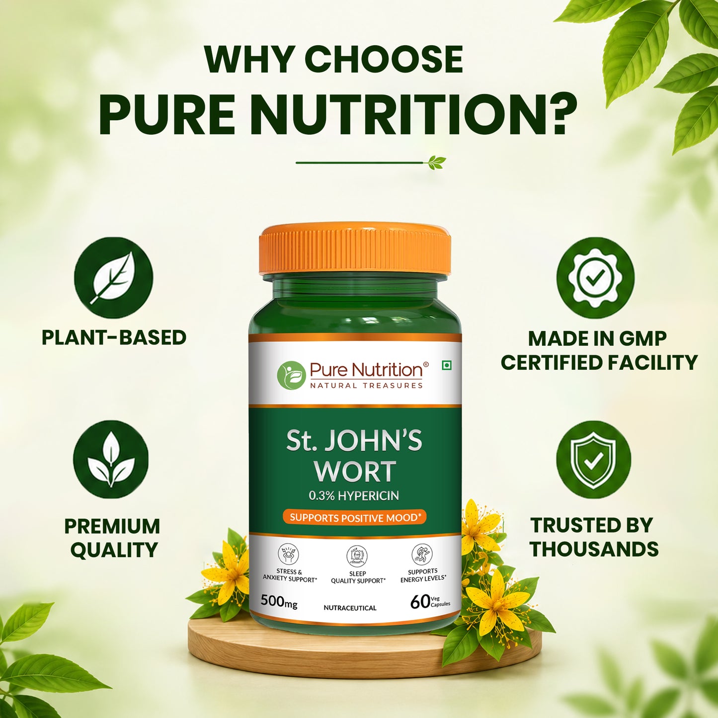 St. John’s Wort 500mg Capsules | Standardized to 0.3% Hypericin | Herbal Wellness Supplement