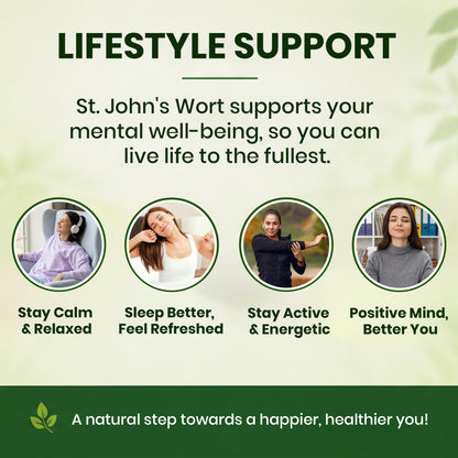 St. John’s Wort 500mg Capsules | Standardized to 0.3% Hypericin | Herbal Wellness Supplement