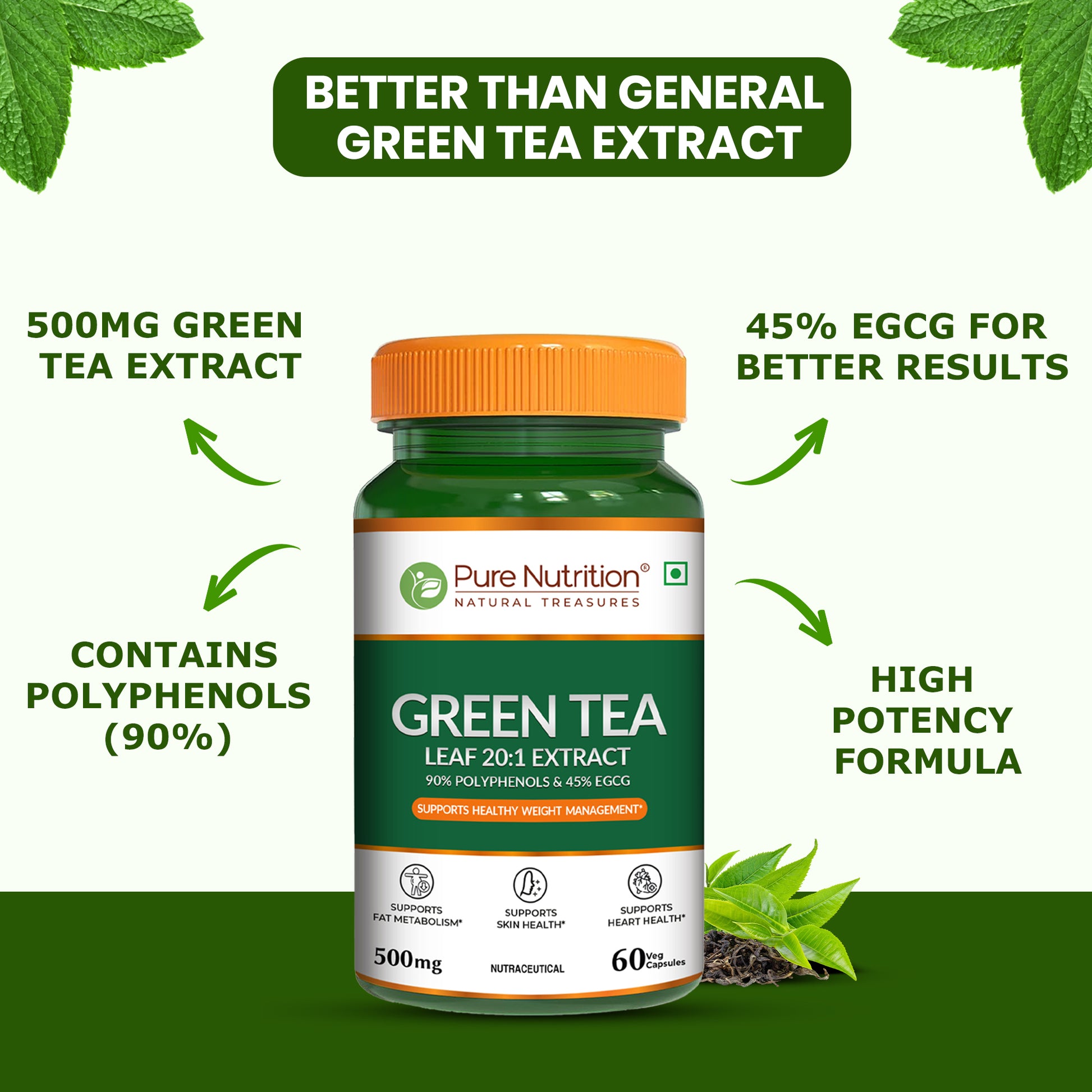 Green tea extract supplement 