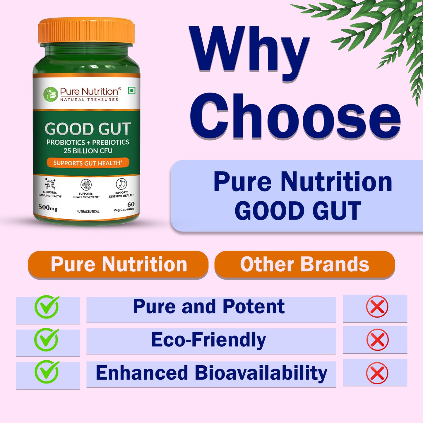 Pure Nutrition Good Gut – 60 Veg Capsules