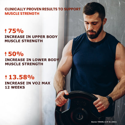 Pure Nutrition KSM-66 Ashwagandha