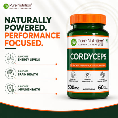 Cordyceps 500 mg | 60 Vegetarian  Capsules