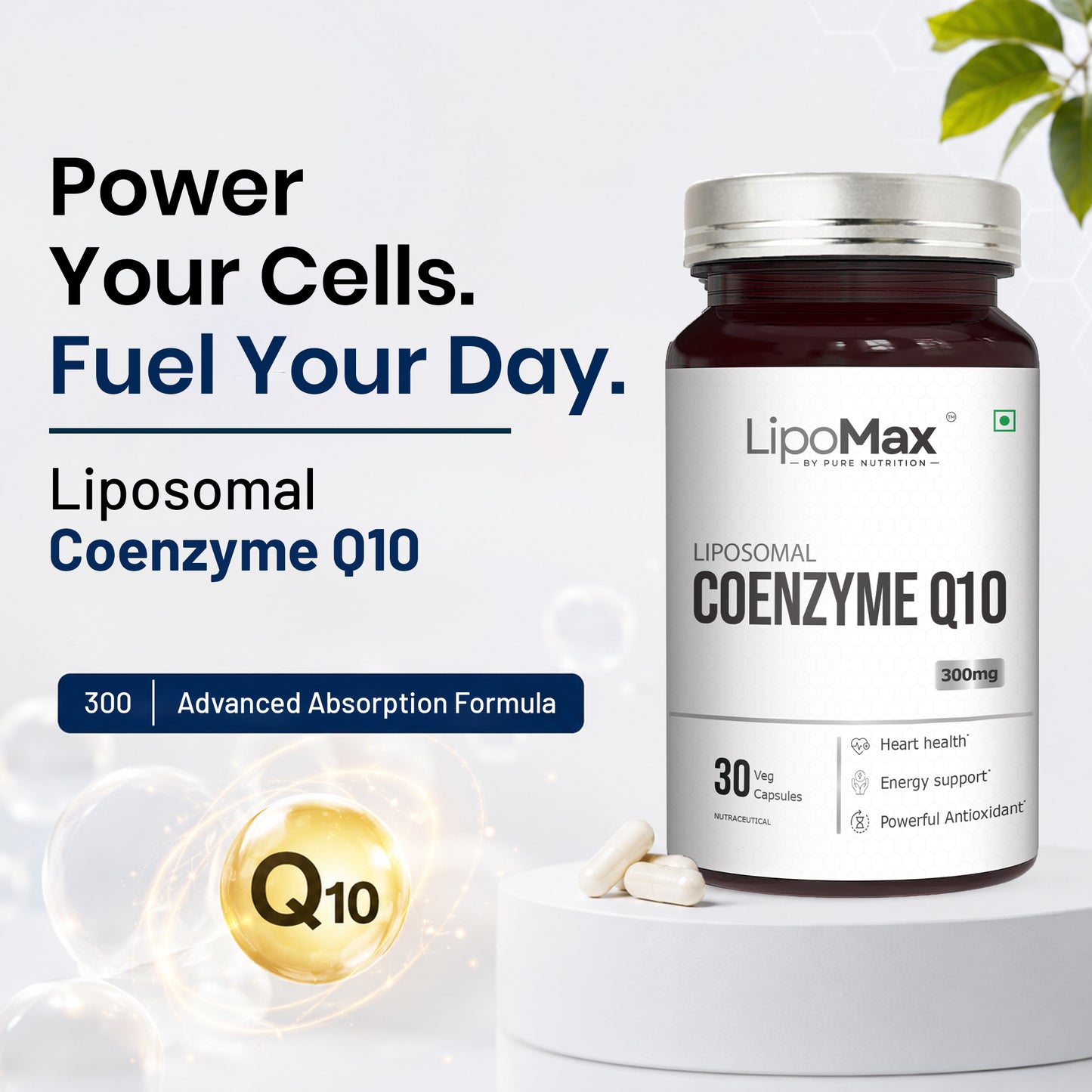 LipoMax Coenzyme Q10 