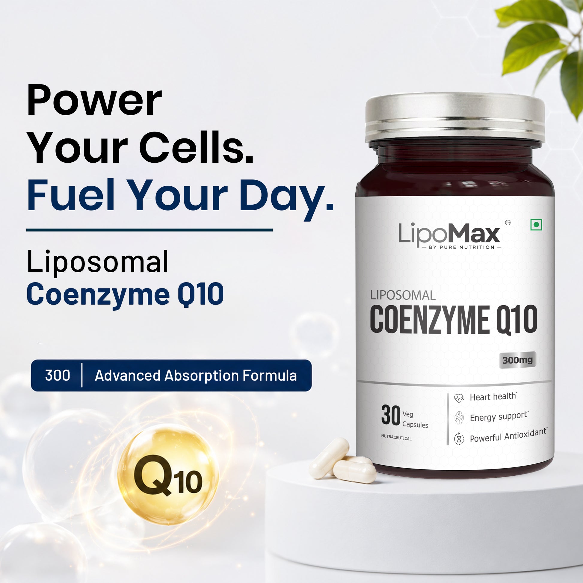 LipoMax Coenzyme Q10 
