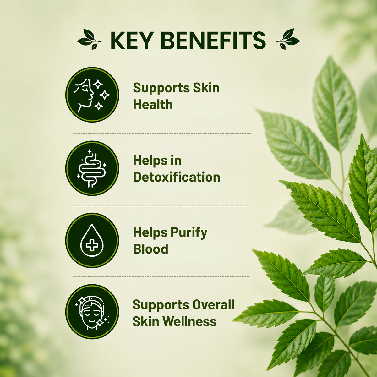 Pure Nutrition Neem Tablets | Ayurvedic Neem Extract Supplement | Supports Skin Wellness & Daily Detox Support 