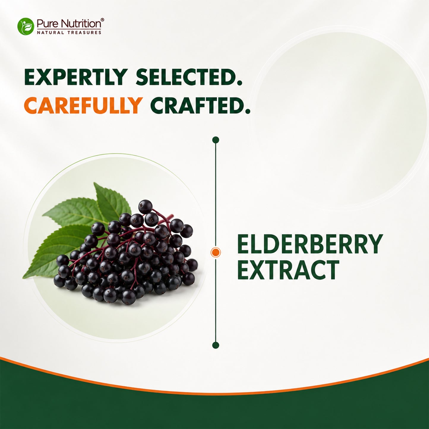 Elderberry Extract 500 mg | Sambucus Nigra Fruit Extract | 60 Capsules