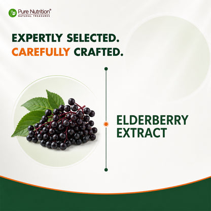 Elderberry Extract 500 mg | Sambucus Nigra Fruit Extract | 60 Capsules