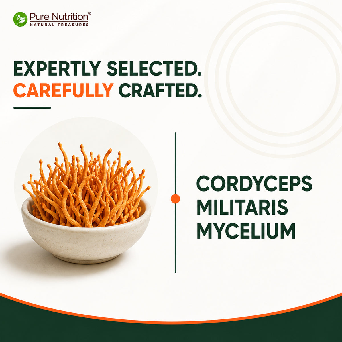 Cordyceps 500 mg | 60 Vegetarian  Capsules