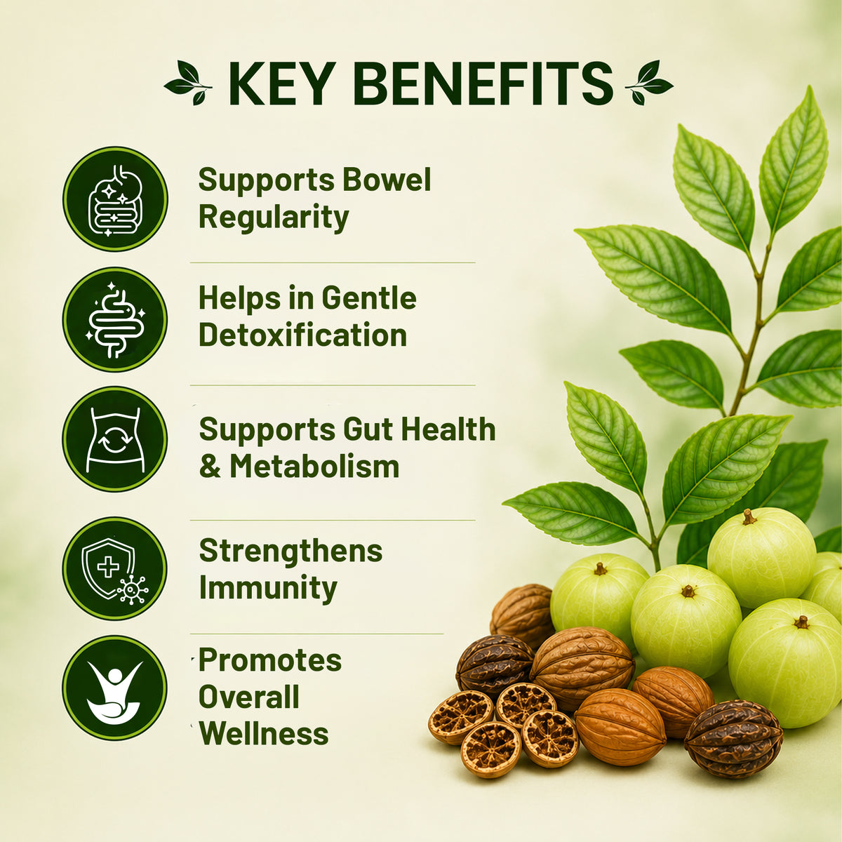 Pure Nutrition Triphala Tablets | Ayurvedic Herbal Blend with Haritaki, Bibhitaki & Amalaki | Supports Digestion & Gut Health 
