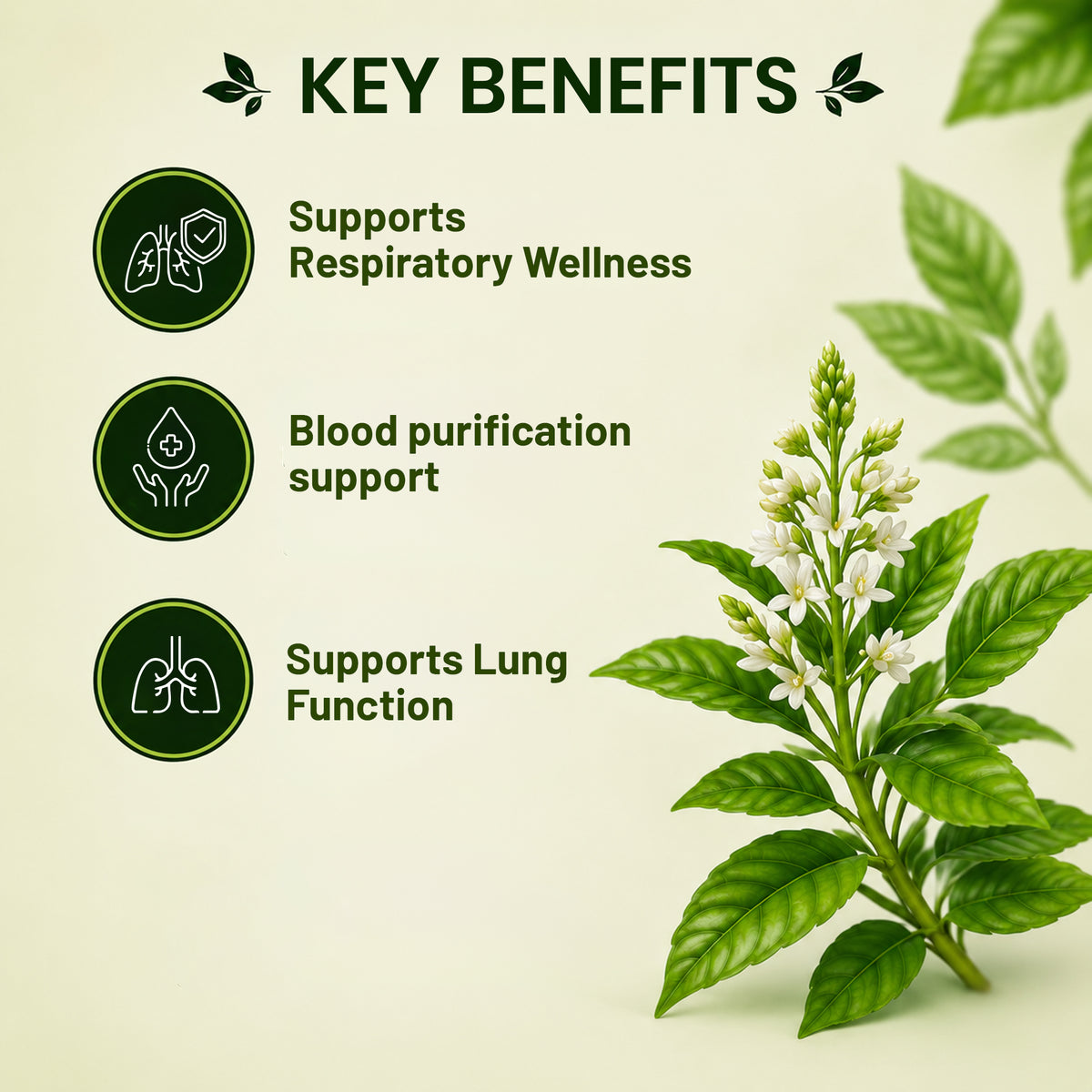 Pure Nutrition Vasaka Tablets | Ayurvedic Herbal Support for Respiratory Wellness & Healthy Breathing | Vasaka Extract Supplement