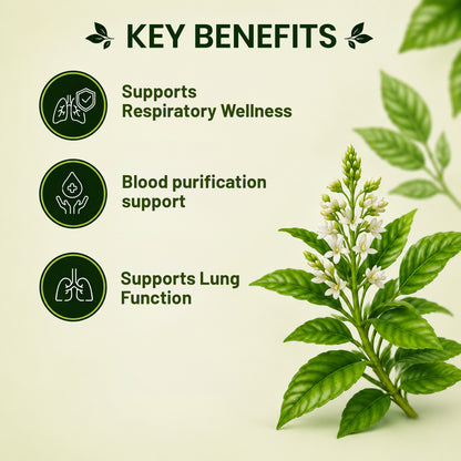 Pure Nutrition Vasaka Tablets | Ayurvedic Herbal Support for Respiratory Wellness & Healthy Breathing | Vasaka Extract Supplement