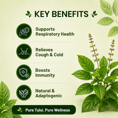 Pure Nutrition Tulsi Tablets | Holy Basil Extract for Respiratory & Immune Wellness Support | Ayurvedic Herbal Supplement