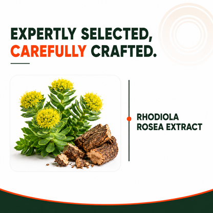 Rhodiola Rosea Root Extract – 500mg | 3% Rosavins | Stress & Energy Support