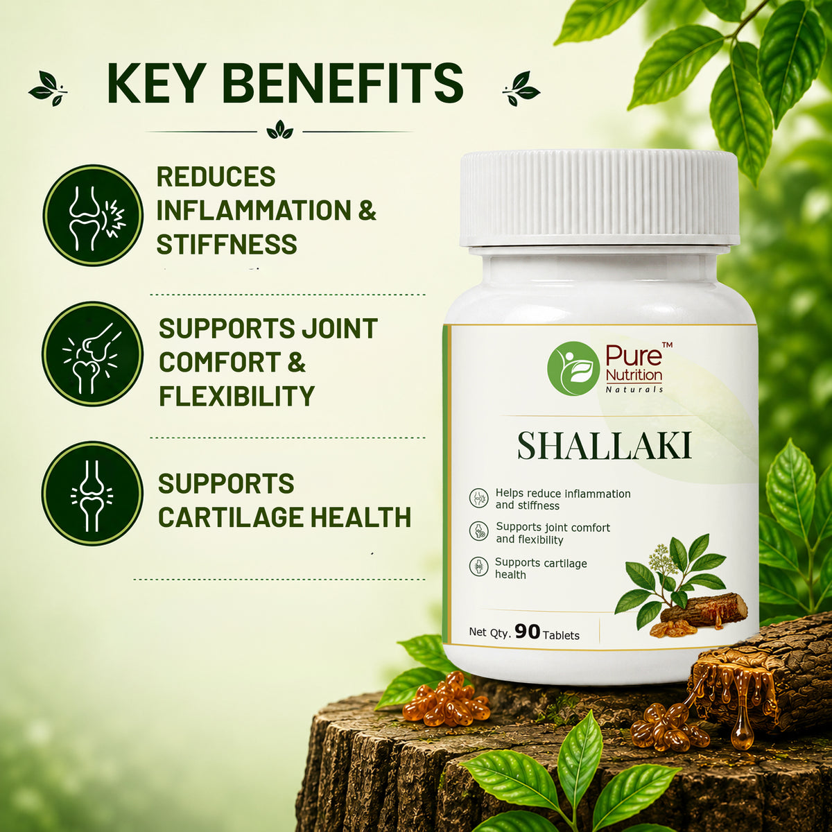 Pure Nutrition Naturals Shallaki 