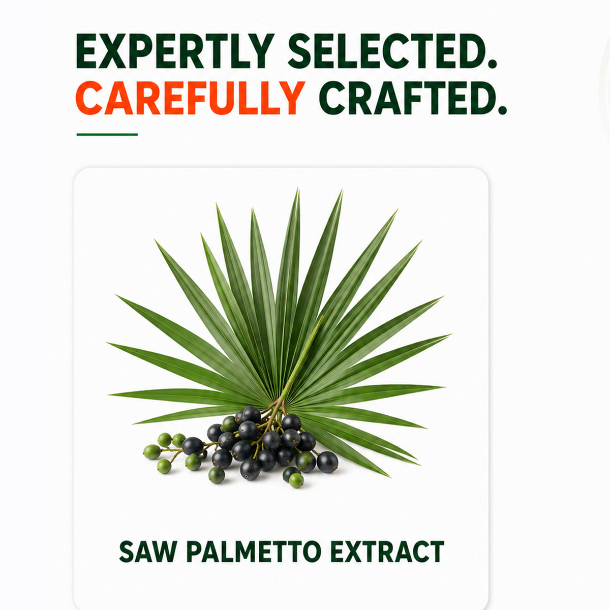 Saw Palmetto 10:1 Extract 1000mg | Supports Men's Health & Hormonal Balance | 120 Veg Capsules