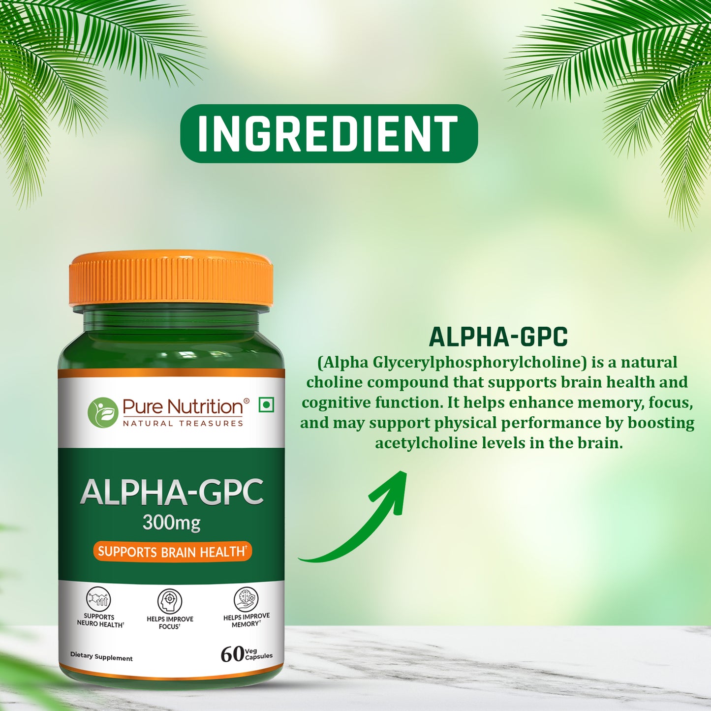 Alpha-GPC 300mg