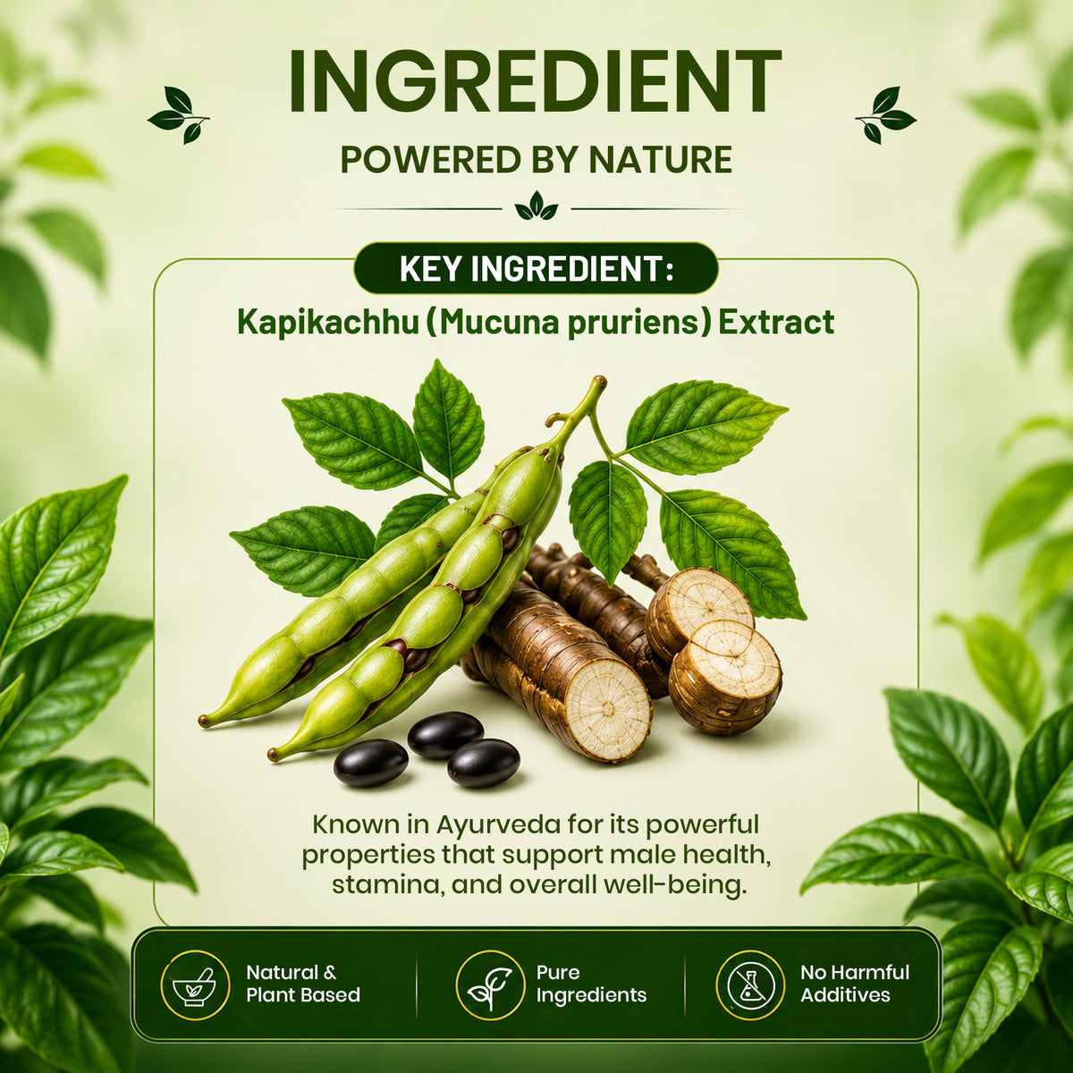 Pure Nutrition Kapikachhu Tablets | Ayurvedic Vitality & Wellness Support | Mucuna Pruriens Extract 