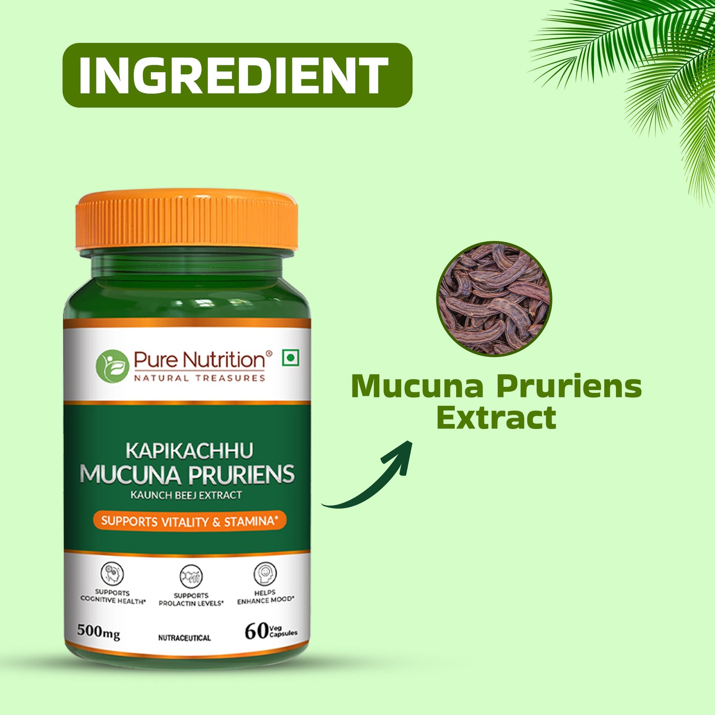 Pure Nutrition Mucuna Pruriens Extract | 500 mg | 60 Veg Capsules