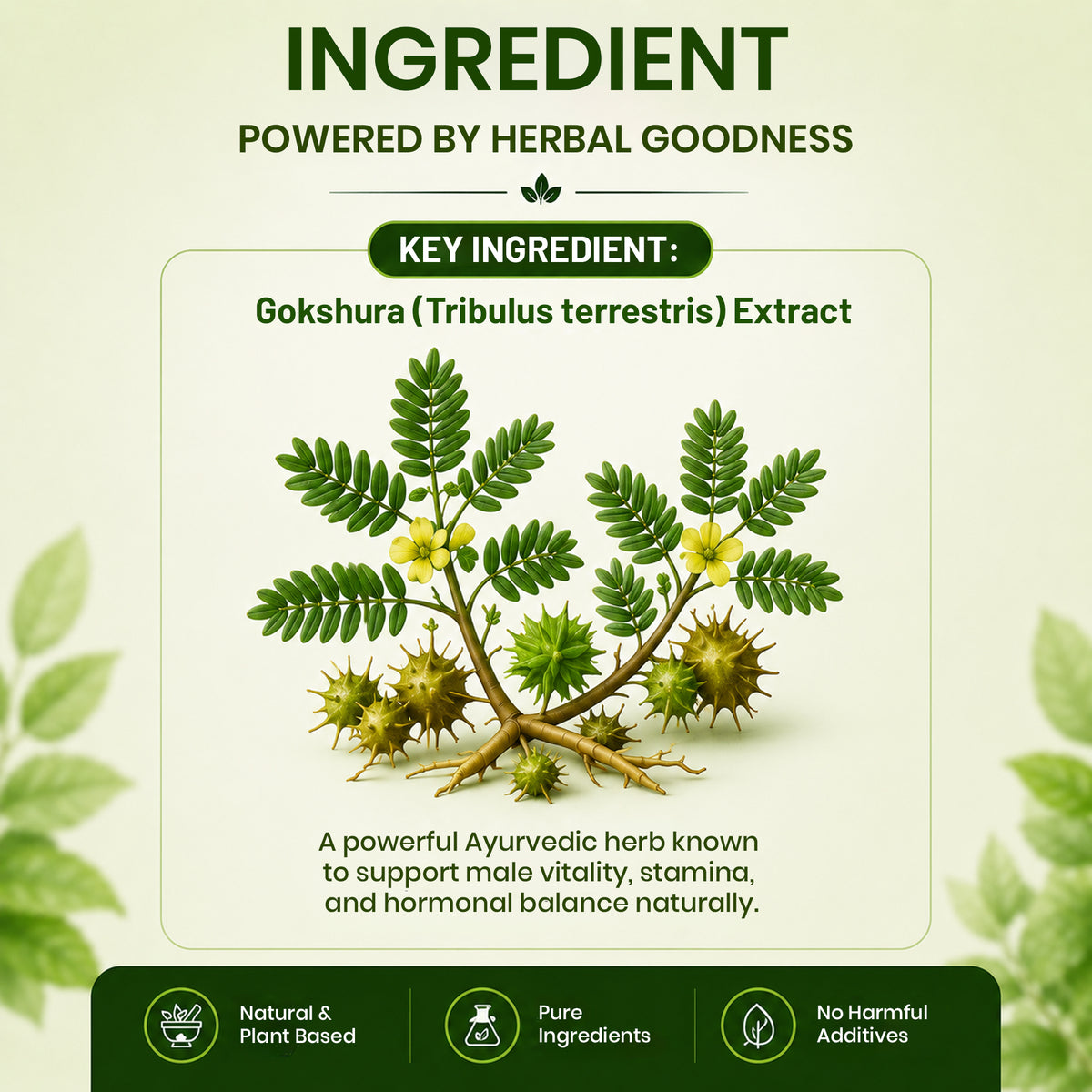  Pure Nutrition Naturals Gokshura 