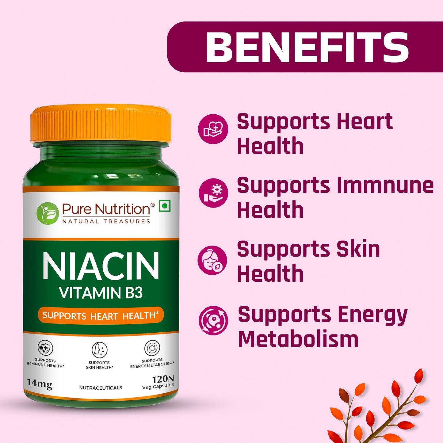 Pure Nutrition Vitamin B3 Niacin 