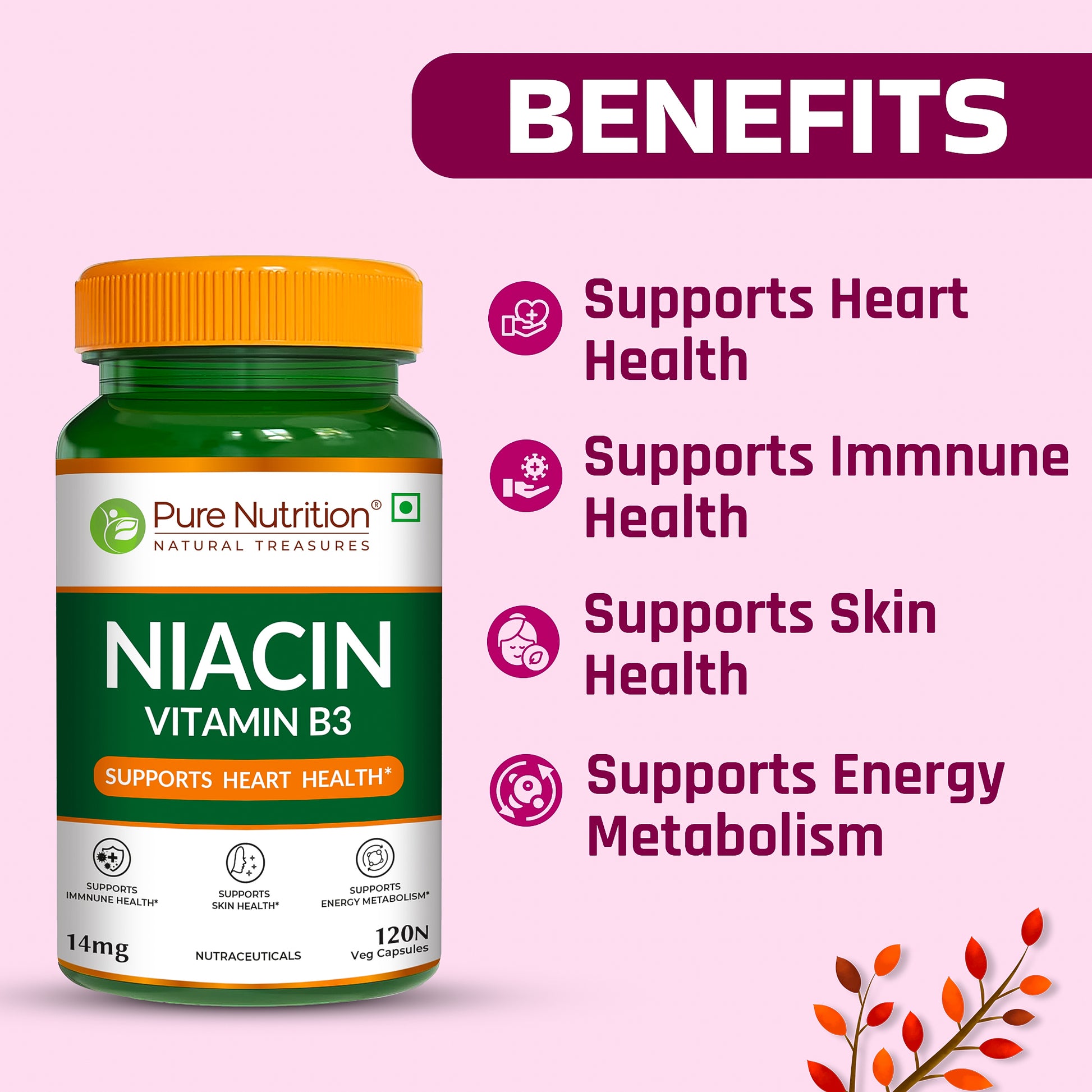 Pure Nutrition Vitamin B3 Niacin 