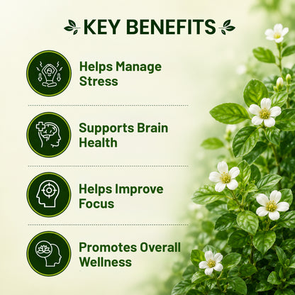 Pure Nutrition Naturals Brahmi 