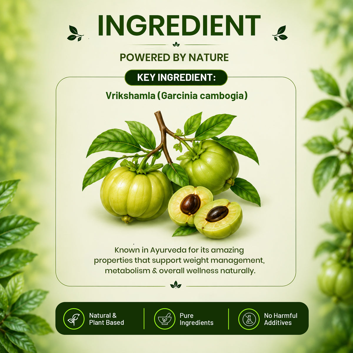Pure Nutrition Vrikshamla Tablets | Garcinia Cambogia Herbal Support for Weight Wellness & Metabolism | Ayurvedic Supplement 