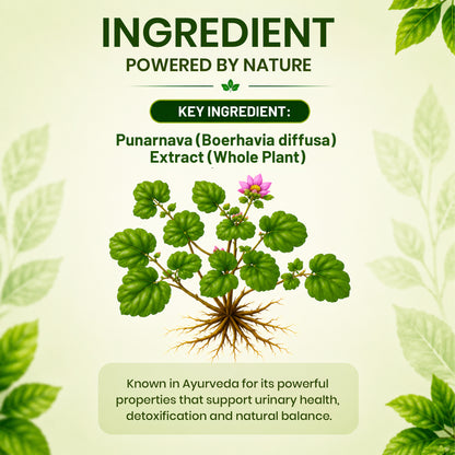  Punarnava tablets by Pure Nutrition 