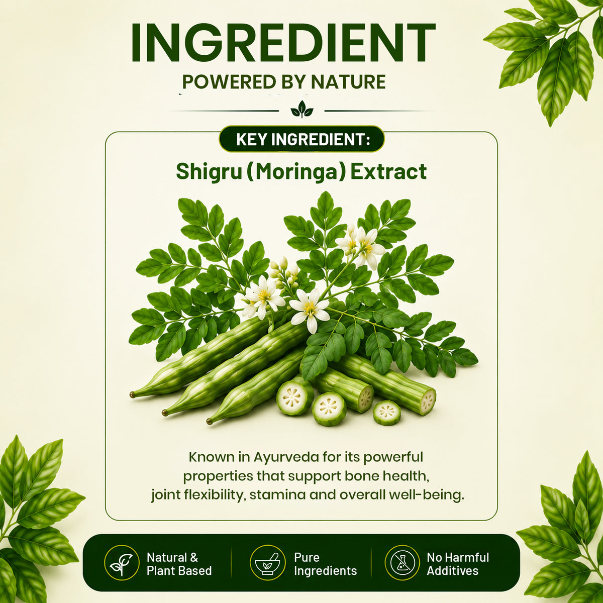 Pure Nutrition Naturals Shigru 