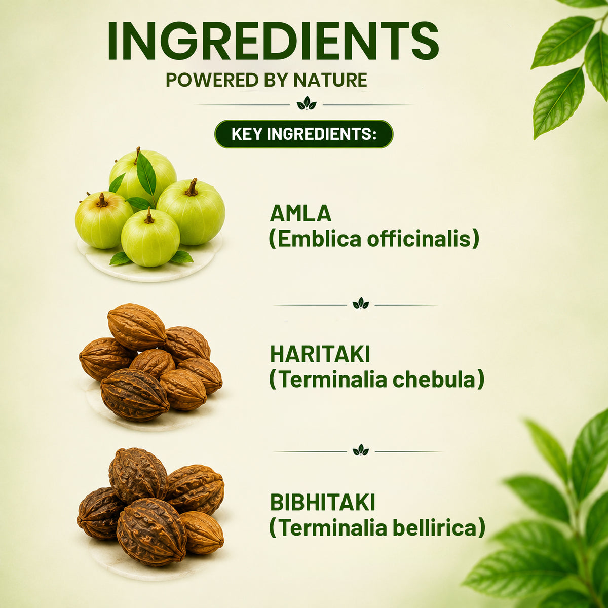 Pure Nutrition Triphala Tablets | Ayurvedic Herbal Blend with Haritaki, Bibhitaki & Amalaki | Supports Digestion & Gut Health 