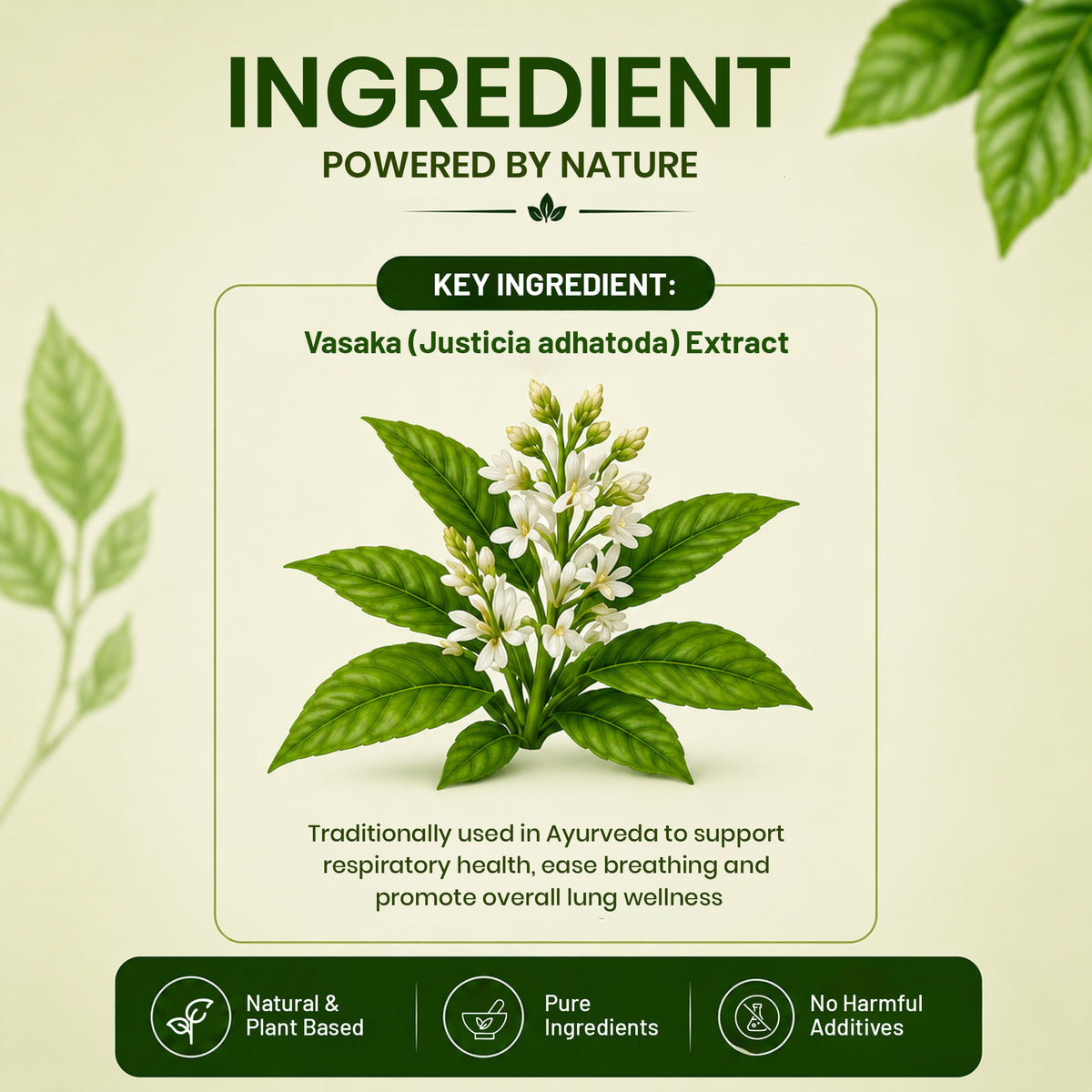 Pure Nutrition Vasaka Tablets | Ayurvedic Herbal Support for Respiratory Wellness & Healthy Breathing | Vasaka Extract Supplement