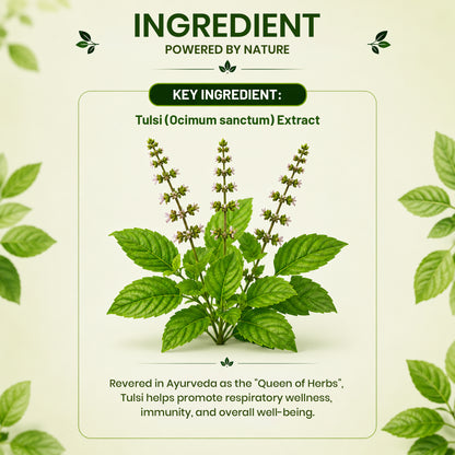 Pure Nutrition Tulsi Tablets | Holy Basil Extract for Respiratory & Immune Wellness Support | Ayurvedic Herbal Supplement